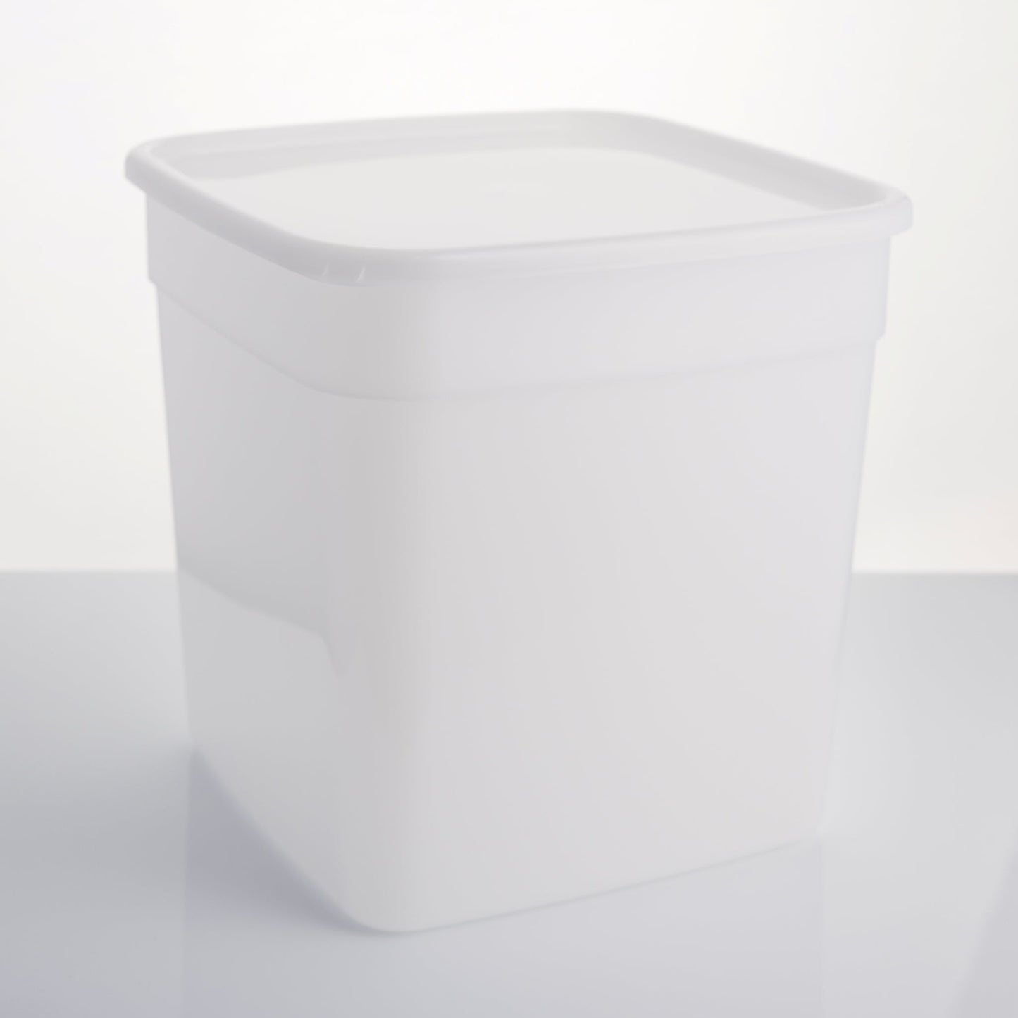 10 litre standard container with lid