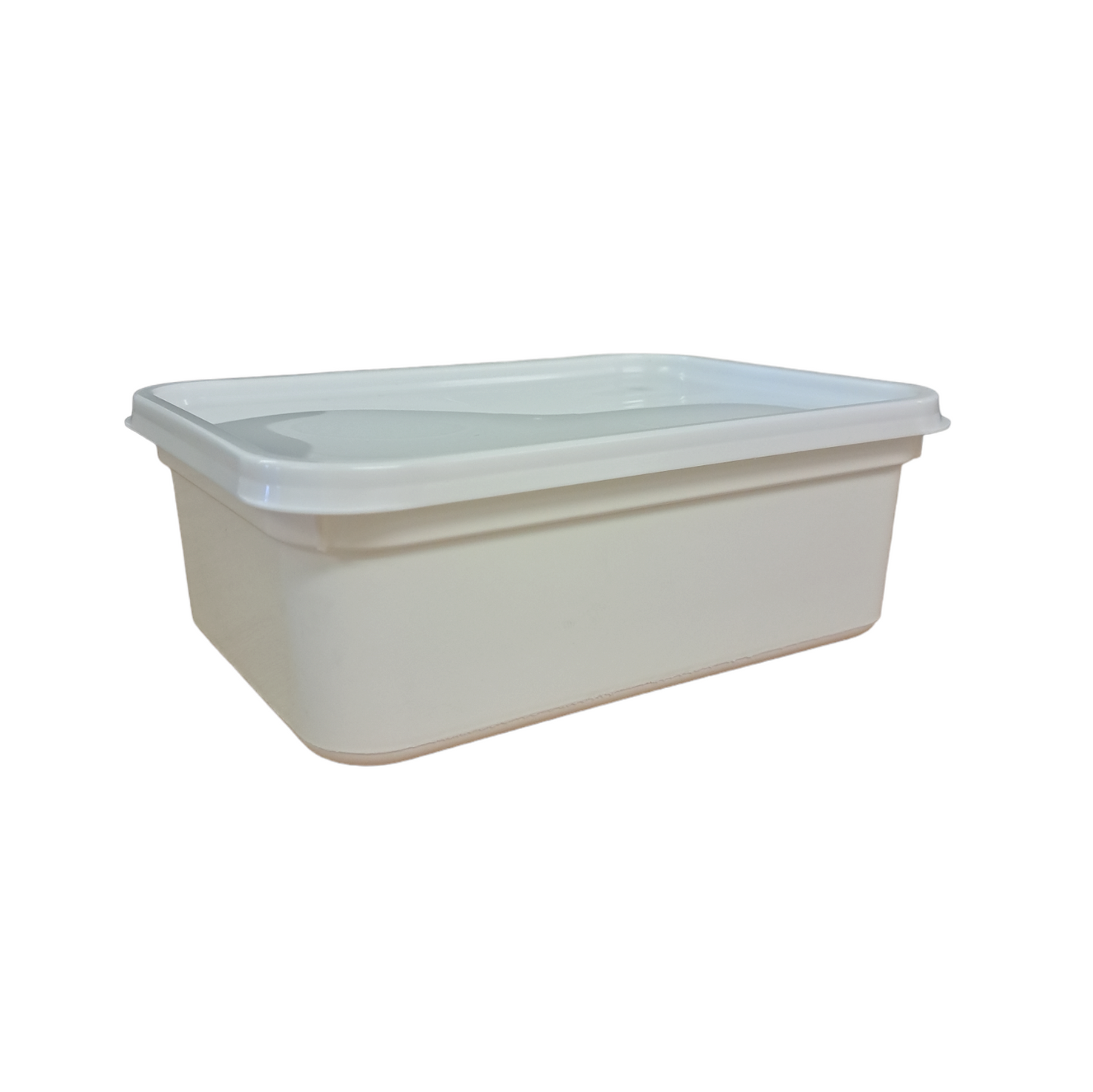 2 litre rectangle standard container & lid