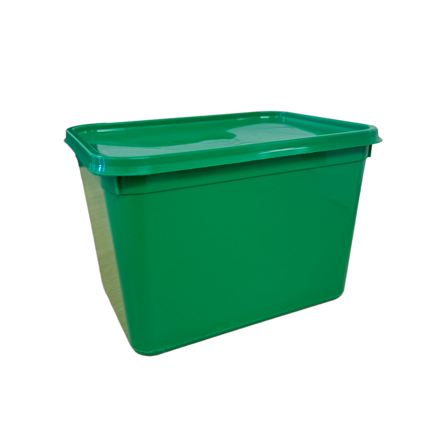 4 litre rectangle standard container & lid