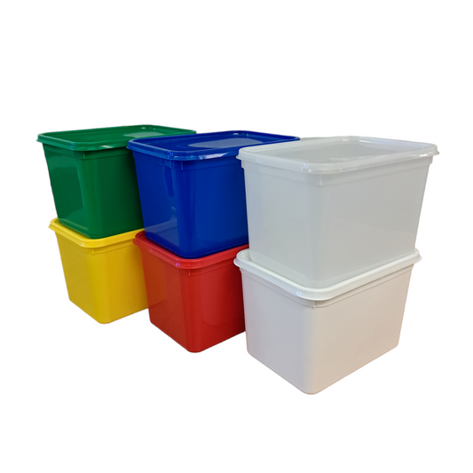 4 litre rectangle standard container & lid
