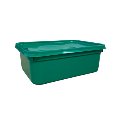 2 litre rectangle standard container & lid