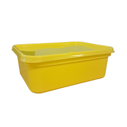 2 litre rectangle standard container & lid