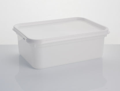 2 litre rectangle standard container & lid