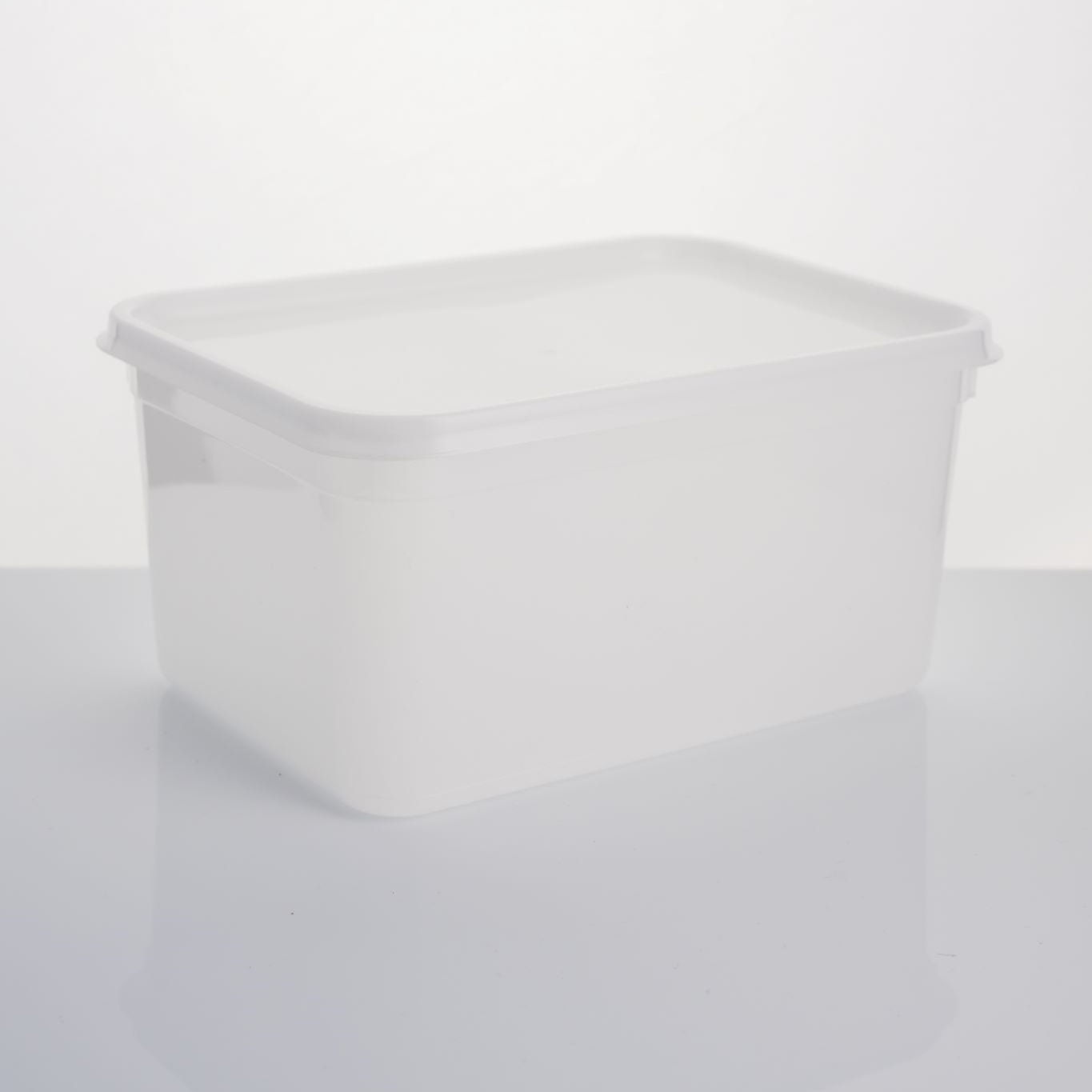 3 litre rectangle standard container & lid