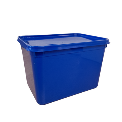 4 litre rectangle standard container & lid