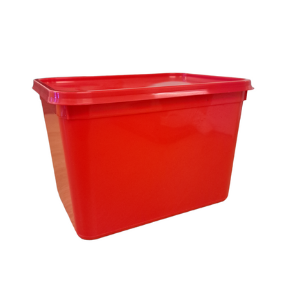 4 litre rectangle standard container & lid