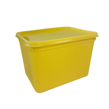 4 litre rectangle standard container & lid