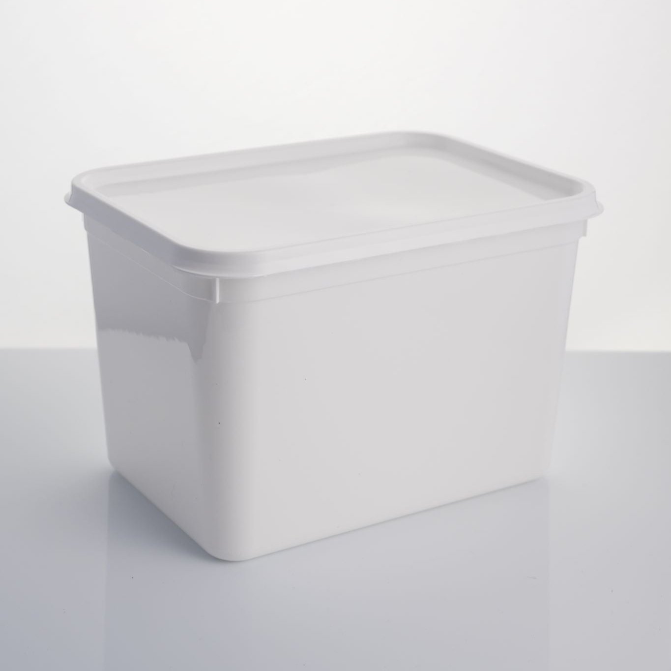 4 litre rectangle standard container & lid